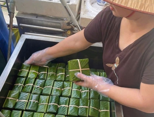 Nên Chọn Nồi Nấu Bánh Chưng Bánh Tét Dáng Vuông Hay Dáng Tròn Để Tối Ưu Năng Suất?