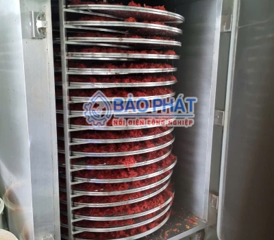 Tủ Sấy Bằng Điện – Xu Hướng Mới Trong Bảo Quản Nông Sản, Thực Phẩm Hiện Nay